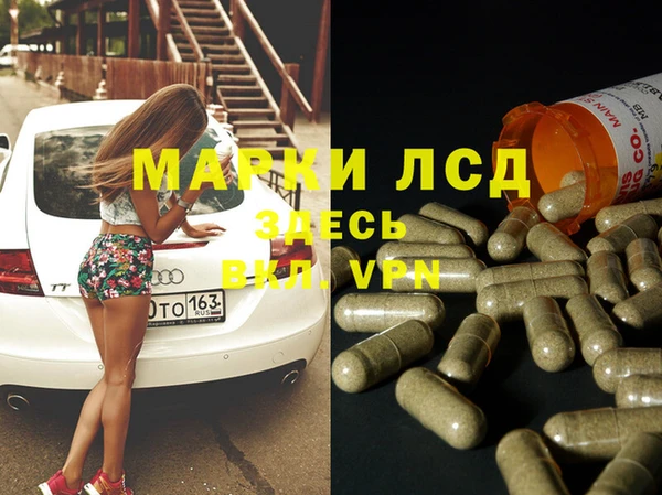 индика Алзамай