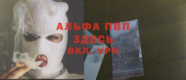 индика Алзамай