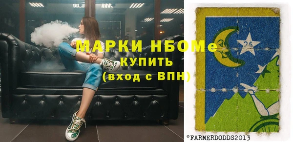 индика Алзамай