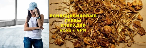 спайс Корсаков
