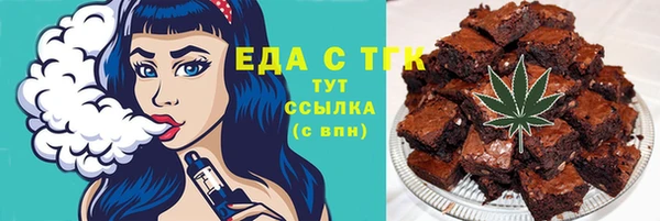 индика Алзамай