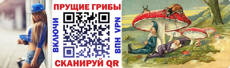 OMG как войти  Петровск  Псилоцибиновые грибы мухоморы 