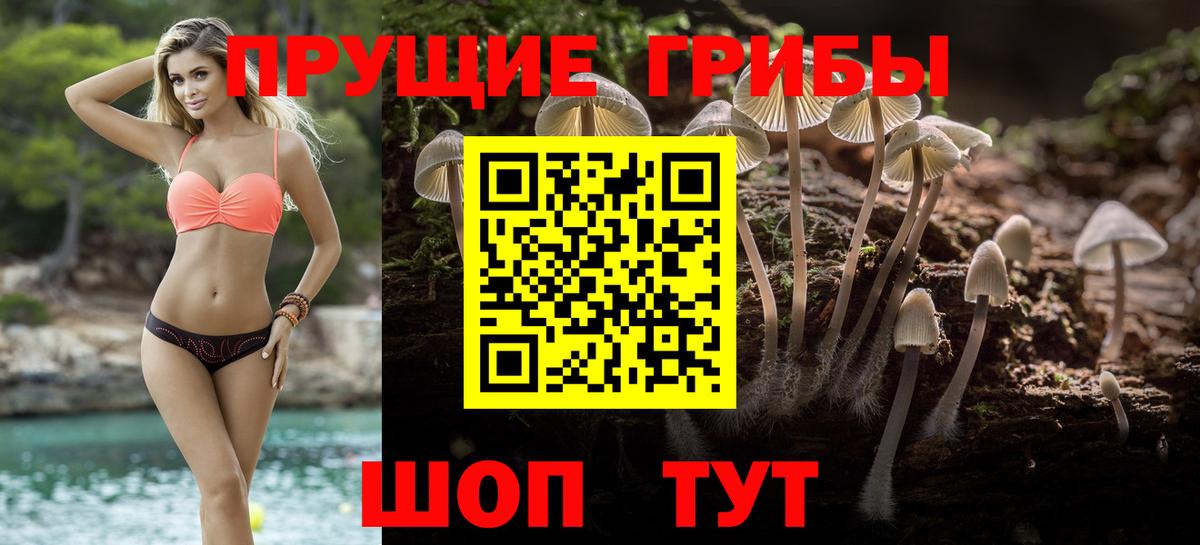 Псилоцибиновые грибы мицелий  Вход с VPN  Петровск  купить   Галлюциногенные грибы ЛСД 